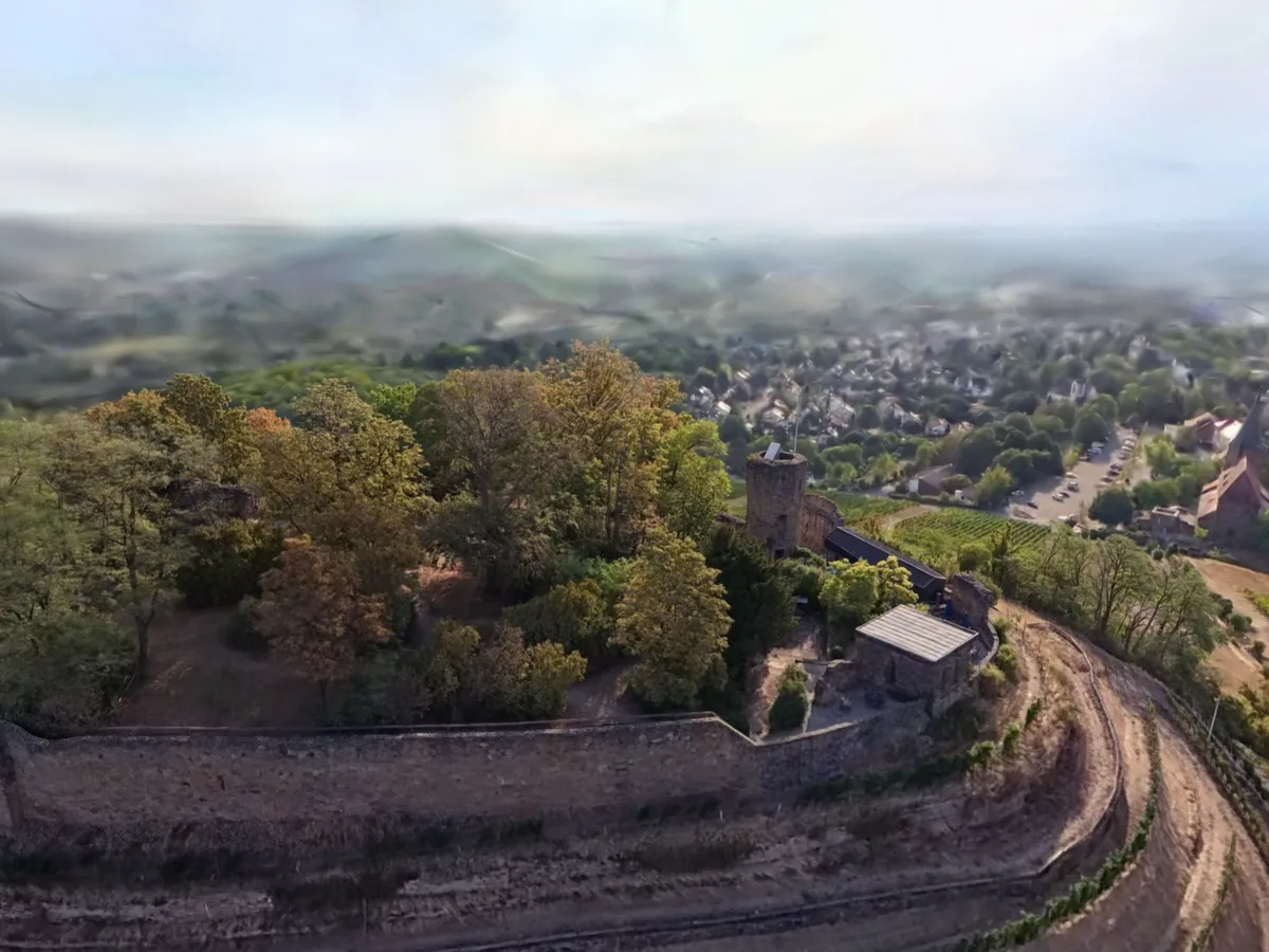 Schräge Luftaufnahme einer Burgruine auf bewaldeter Kuppe — vorn schwingt eine lange Bruchsteinmauer, dahinter Laubbäume, mehrere herbstlich verfärbt, rechts ein runder Turm, die Krone facettiert und oben offen, über der Krone ein schlanker Mast. Rechts unten terrassierte Weinberge, dahinter eine Stadt.
